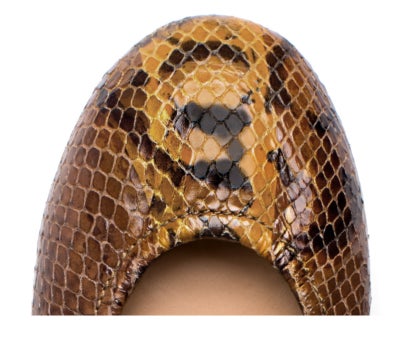 Mocha Snake