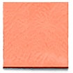 Coral Patent