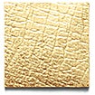 Golden Glitz