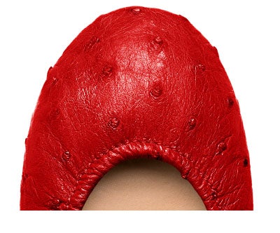 Red Ostrich