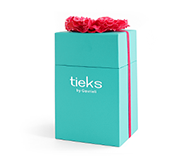 Tieks website on sale