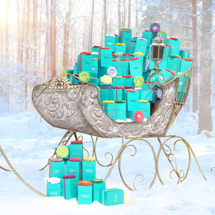 Tieks returns shop