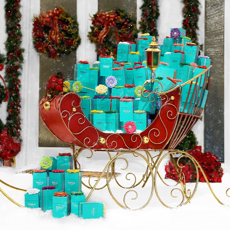 Tieks afterpay hot sale