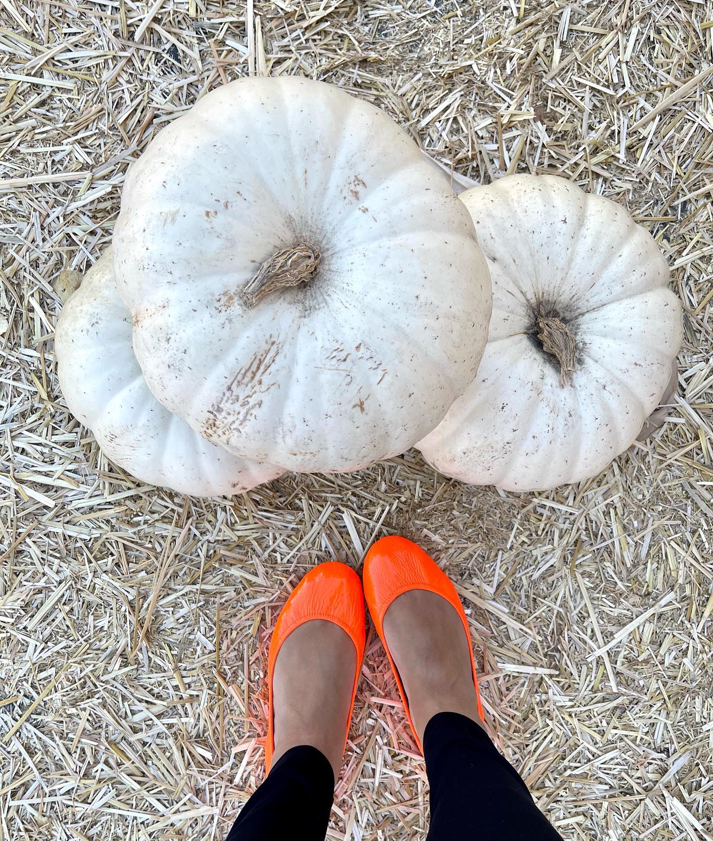 Outrageous Orange Neon Ballet Flats Tieks by Gavrieli