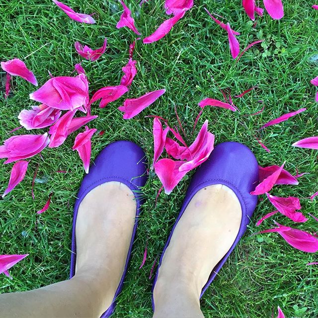 Classic Lilac Purple Ballet Flats Tieks by Gavrieli