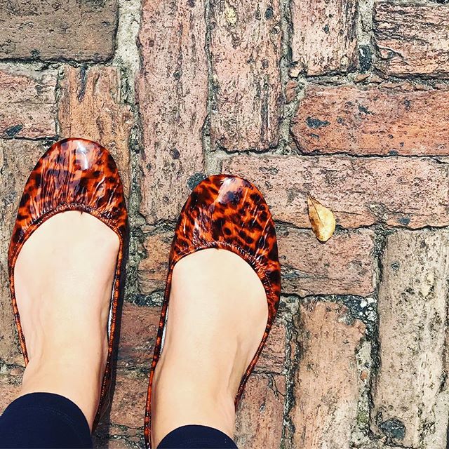 Tortoiseshell tieks best sale