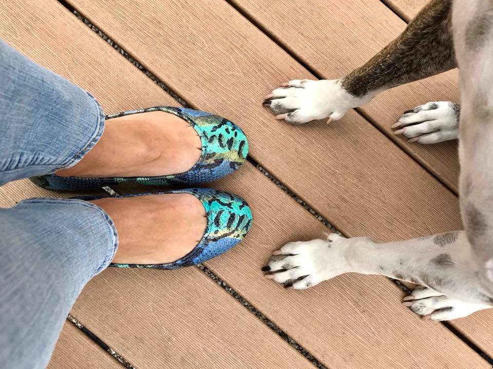 Electric snake tieks shop