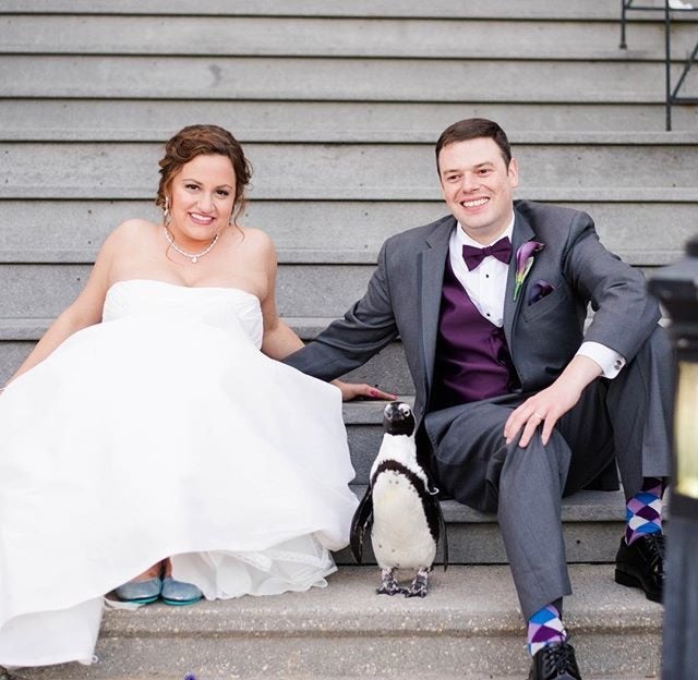 Tieks bridal deals