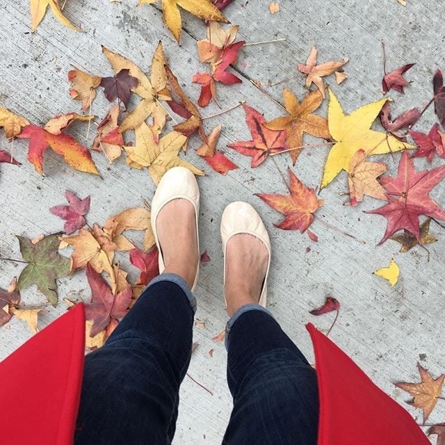 Biscotti tieks on sale