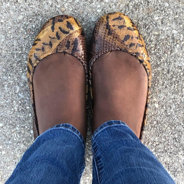 Mocha Snake